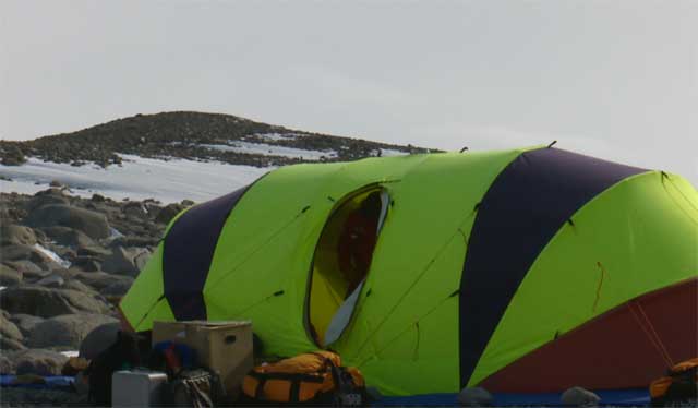 아델리 펭귄 연구자들은 차디찬 남극에서 며칠씩 텐트를 치고 생활해야 한다