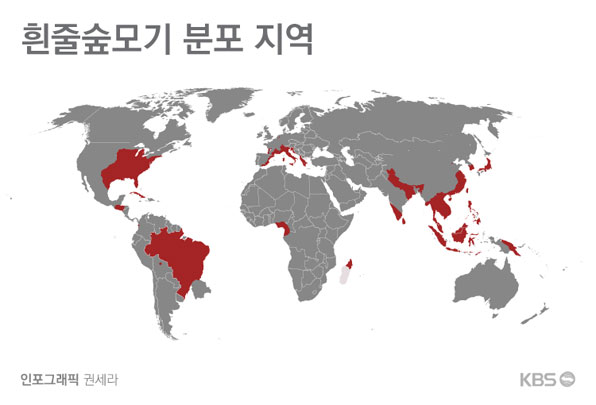 동남아에서 서식하던 '흰줄숲모기'는 남아메리카는 물론, 미국과 이탈리아,지중해 등에서도 발견되고 있고 우리나라도 이미 제주도를 시작으로 전국에 서식하고 있는 것으로 확인되고 있다.