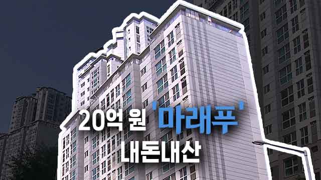“대출 없이 내돈내산?”…마래푸·상계주공 누가 샀나