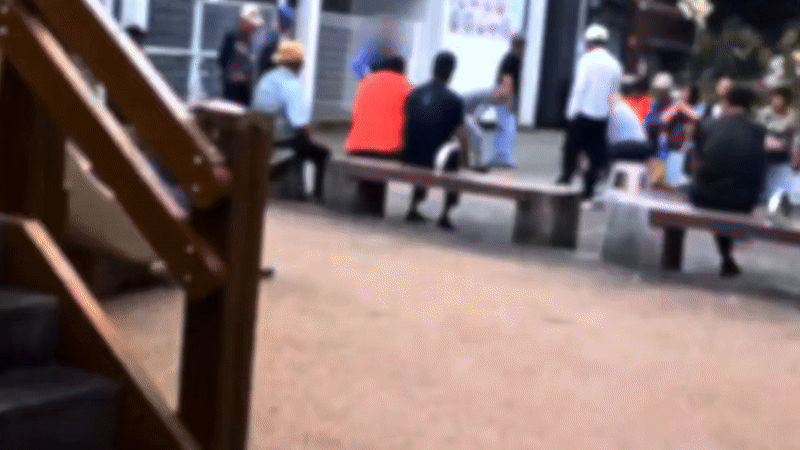 지난 17일, 제주 서귀포 매일올레시장 옆 공원에서 벌어진 윷놀이 도박판(화면제공 : 제주서귀포경찰서)