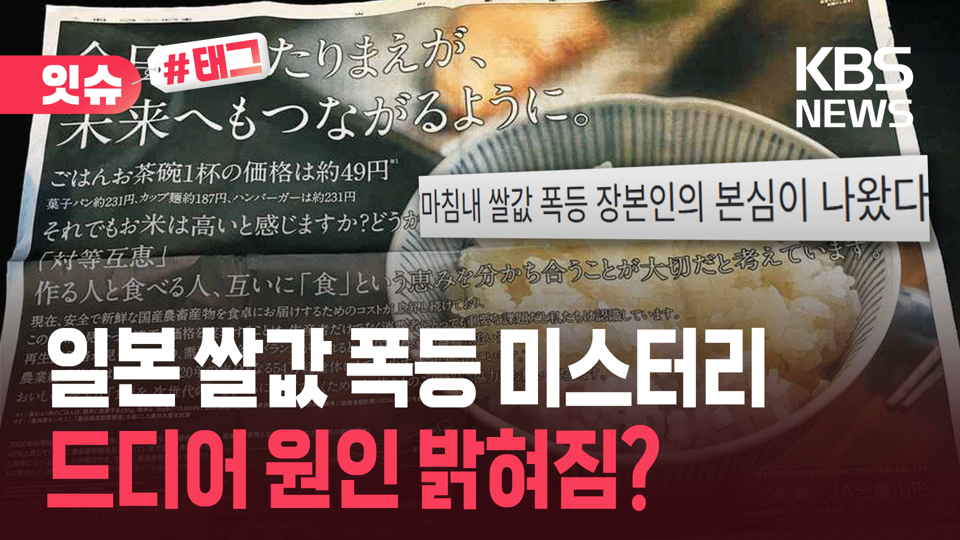 “밥 한 공기 49엔, 햄버거보다 싸”…일본 쌀값 폭등 이것 때문? 