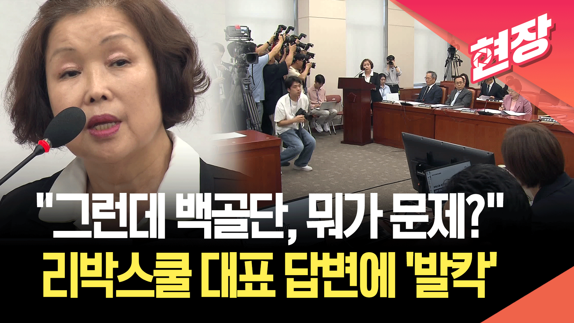 [영상] “그런데 백골단이 뭐가 문제가 있었나요?” 리박스쿨 대표 답변에 탄식…