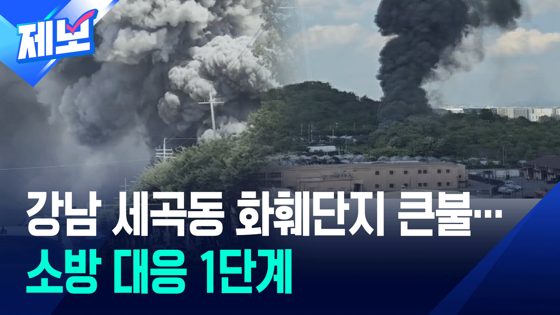 [제보] “연기가 하늘 뒤덮어”…서울 강남 세곡동 화훼단지서 화재
