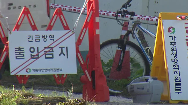 강원 산란계 농장서 고병원성 조류인플루엔자 발생…올가을 처음