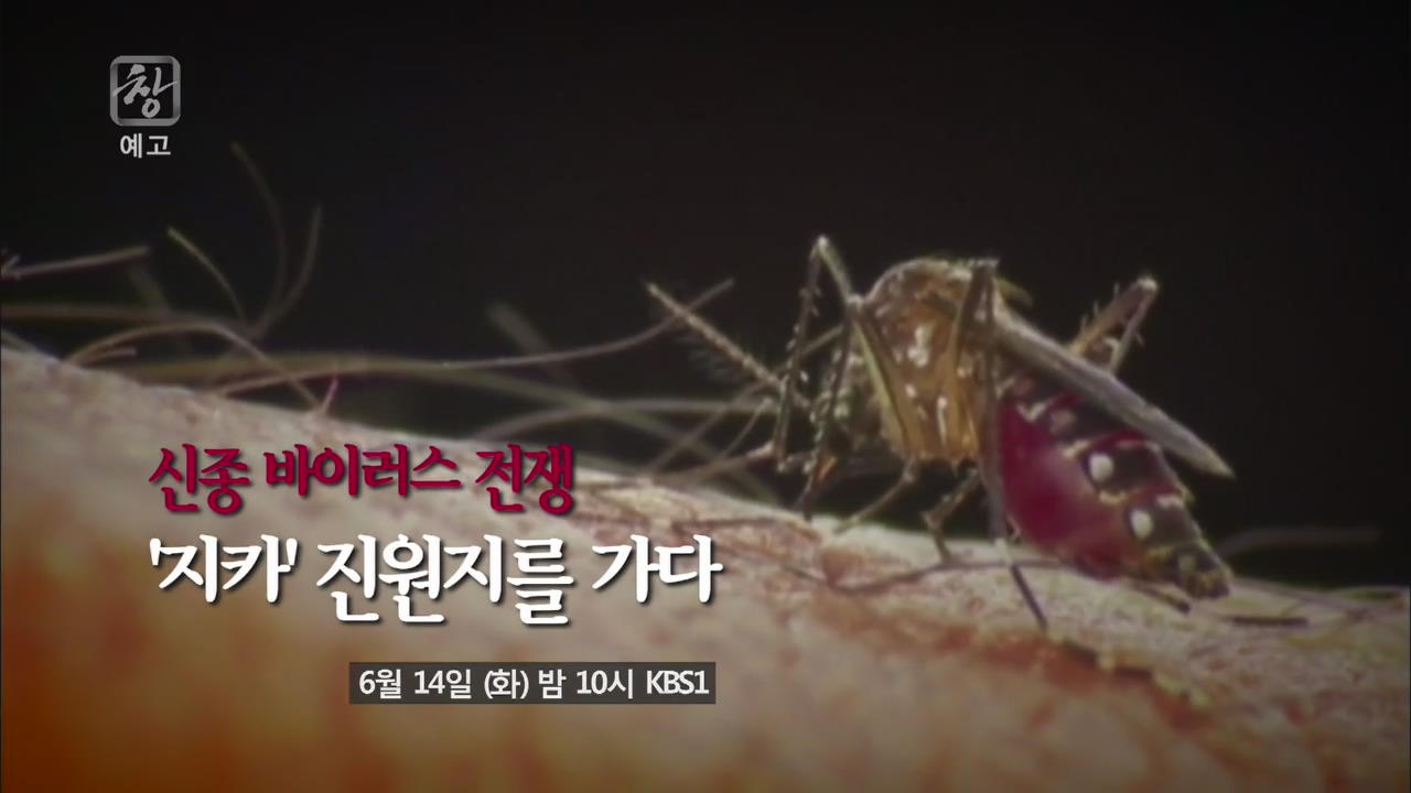 [미리보기] 시사기획 창: 신종바이러스 전쟁-지카 진원지를 가다 (6월14일 방송)