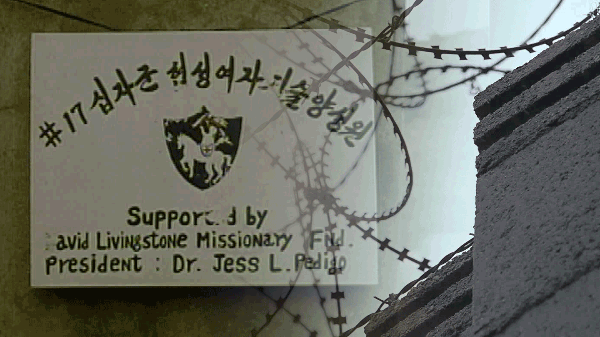 [단독] “윤락 우려 있다” 강제 수용…국가 배상 책임 첫 인정 기사 이미지