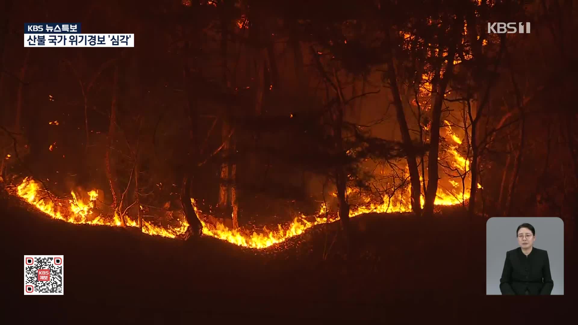 [특보] 청송·영덕군으로 확산 ‘대피령’…천년고찰 고운사 전소