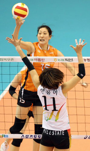 24일 대전 충무체육관에서 벌어진 2008-2009 프로배구 V-리그 여자부 KT&G-현대건설 경기에서 KT&G 김세영이 현대건설 한유미(11번)의 블로킹을 피해 공을 밀어넣고 있다. 