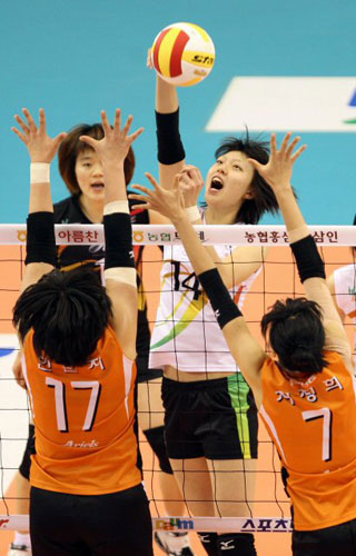 24일 대전 충무체육관에서 벌어진 2008-2009 프로배구 V-리그 여자부 현대건설-KT&G 경기에서 현대건설 양효진이 KT&G 한은지(17번), 지정희(7번)의 블로킹 위로 강타를 때리고 있다. 