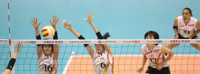 1일 서울 올림픽공원 제2체육관에서 열린 NH 농협 2008-2009 프로배구 V 리그 여자부 경기에서 현대건설의 염혜선과 김수지가 KT&G의 스파이크를 블로킹으로 차단하고 있다. 