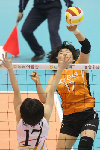 1일 서울 올림픽공원 제2체육관에서 열린 NH 농협 2008-2009 프로배구 V 리그 여자부 경기에서 KT&G 한은지가 현대건설을 상대로 강스파이크를 날리고 있다. 