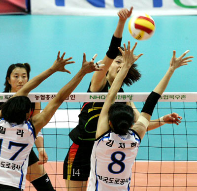 5일 수원실내체육관에서 벌어진 여자 배구 V리그 도로공사와 현대건설의 경기에서 현대건설 양효진(뒤)이 도로공사 밀라, 김지현의 블로킹을 앞에 두고 스파이크를 날리고 있다. 