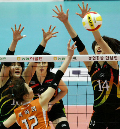 17일 수원실내체육관에서 벌어진 여자배구 V리그 KT&G와 현대건설의 경기에서 현대건설 양효진(오른쪽), 염혜선이 KT&G 백목화의 연타 공격을 블로킹하고 있다. 