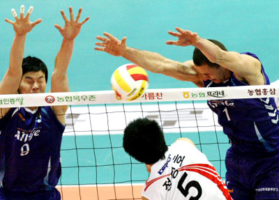 17일 수원실내체육관에서 벌어진 배구 V리그 삼성화재와 KEPCO 45의 경기에서 삼성화재 신선호(왼쪽)와 안젤코가 KEPCO 45 정평호의 스파이크를 블로킹하고 있다. 