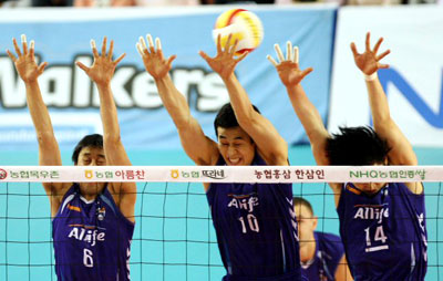1일 천안 유관순체육관에서 벌어진 2008-2009 프로배구 V리그 삼성화재-현대캐피탈 경기에서 삼성화재 최태웅, 고희진, 석진욱이 현대캐피탈 앤더슨의 스파이크를 블로킹하고 있다. 