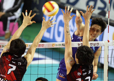 1일 천안 유관순체육관에서 벌어진 2008-2009 프로배구 V리그 삼성화재-현대캐피탈 경기에서 삼성화재 손재홍이 현대캐피탈 이선규, 박철우의 블로킹 벽을 앞에 두고 강타를 날리고 있다. 