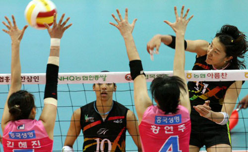5일 수원실내체육관에서 벌어진 2008-2009 프로배구 여자부 흥국생명-현대건설 경기에서 현대건설 한유미(오른쪽)가 흥국생명 김혜진, 황연주의 블로킹을 앞에 두고 스파이크를 시도하고 있다. 